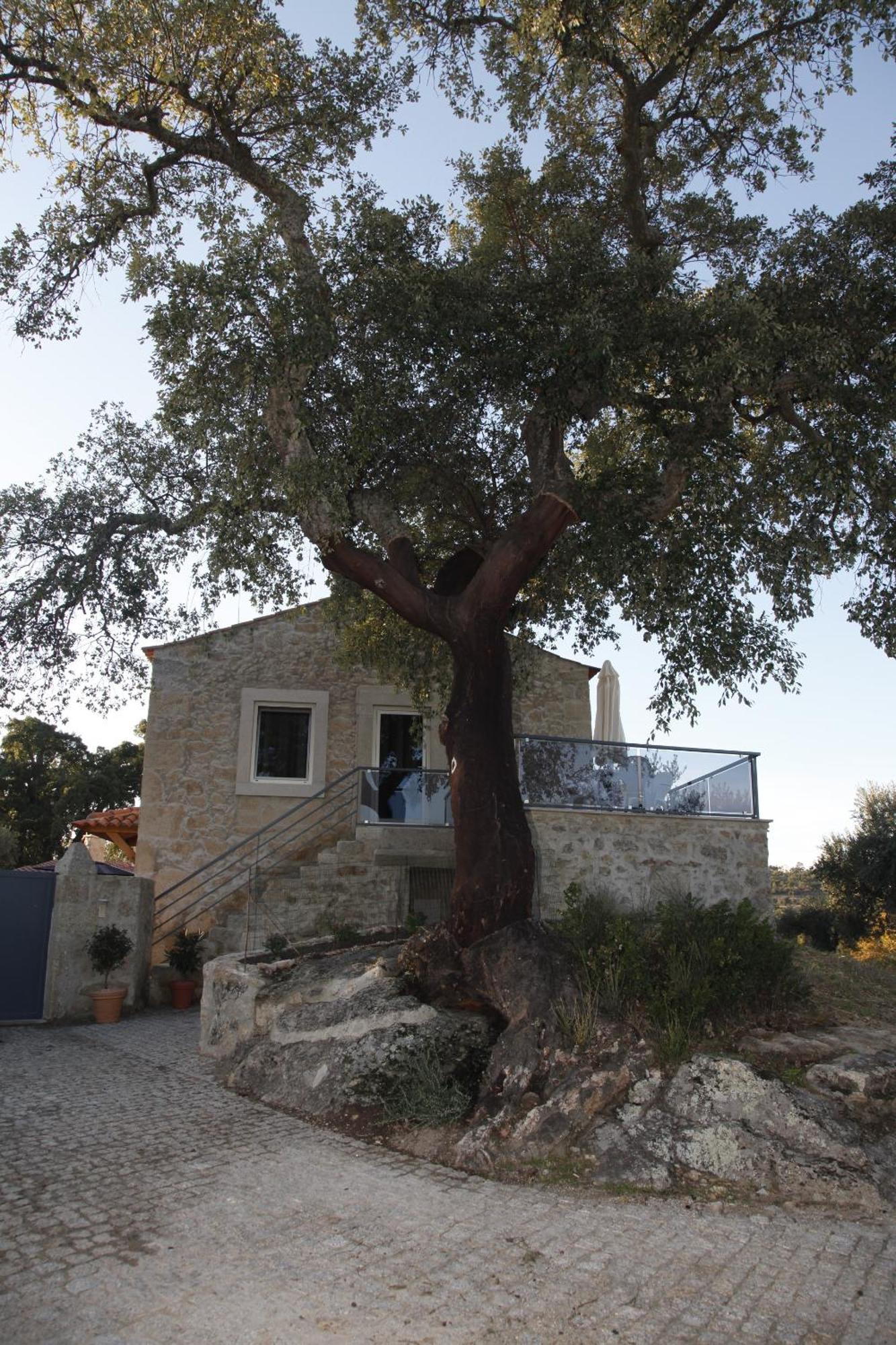 Casas Do Regato Pension Castelo Branco  Buitenkant foto